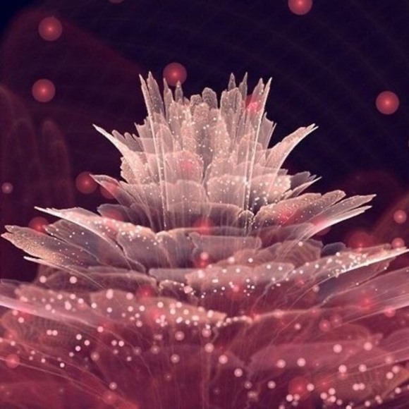 Meet your Posher, Maritza - Picture 1 of 1